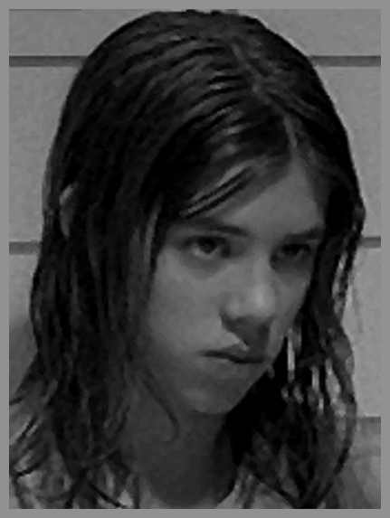 bit-crushed Acquart 1.png